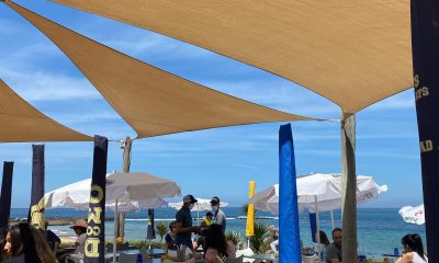 171724610_475532027123553_1932490558977969817_n-dJo4eXErwlTRxqW6 171724610_475532027123553_1932490558977969817_n-dJo4eXErwlTRxqW6